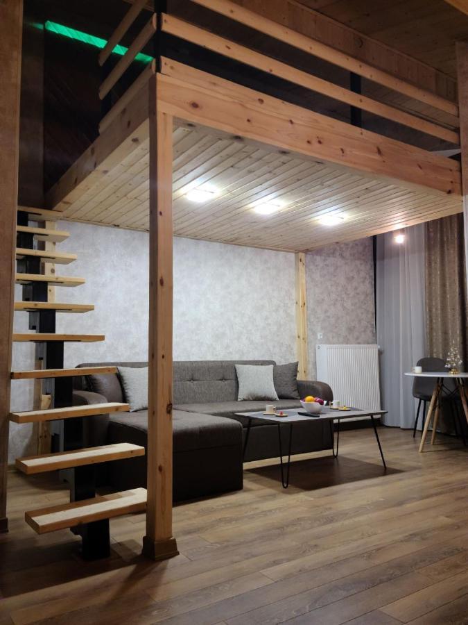 شقة Gudauri Winter House المظهر الخارجي الصورة